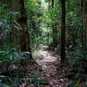  Lodge Lyrebird Retreat Australia